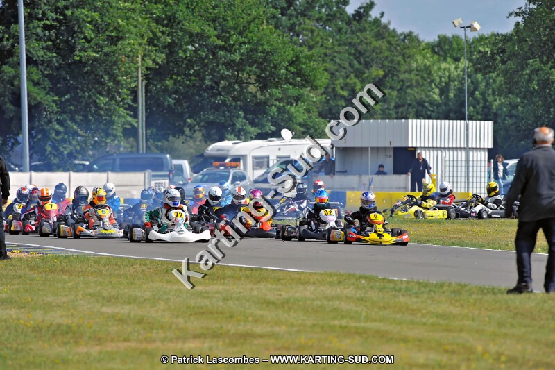 DSC_ (1328).jpg